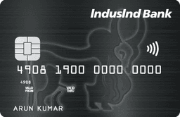 IndusInd Platinum Master Credit Card